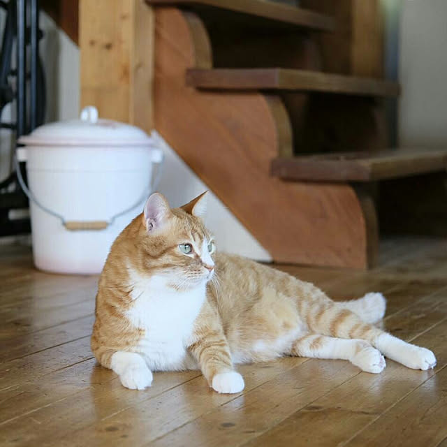 okaasanさんの実例写真