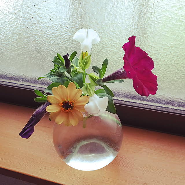 katuさんの実例写真