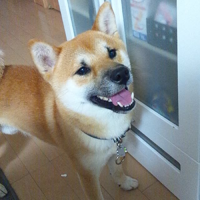 kotaさんの実例写真