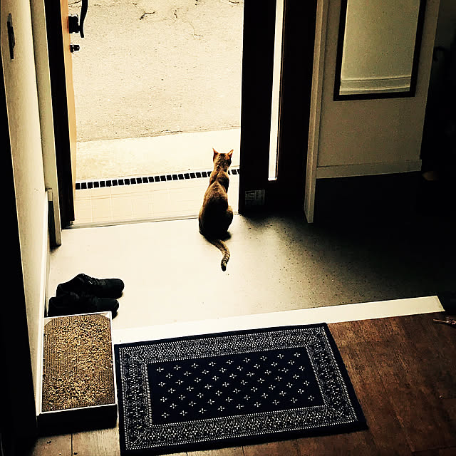 Yoichiさんの実例写真