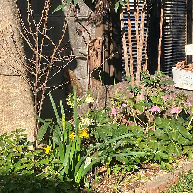 mamaさんの実例写真