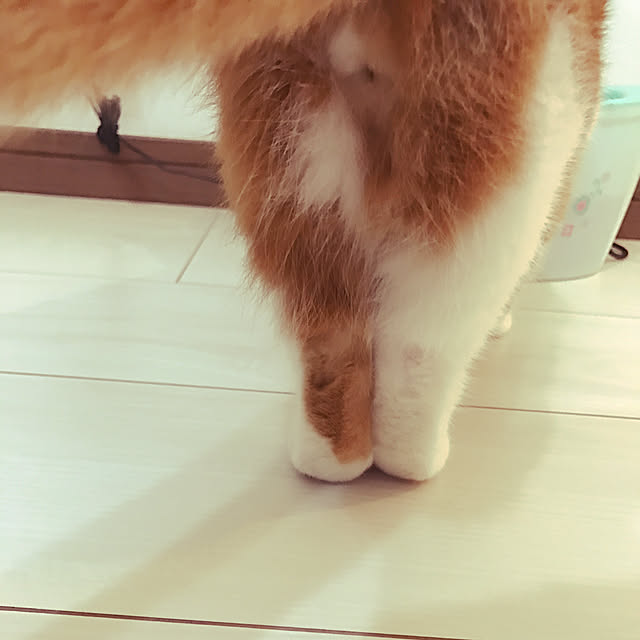 KotarouKunさんの実例写真