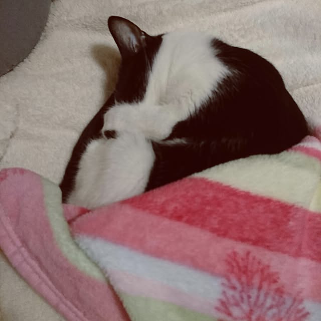 Mooさんの実例写真