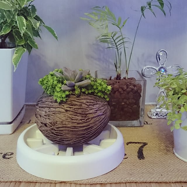 ayakaさんの実例写真