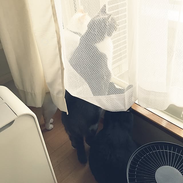 toufuさんの実例写真