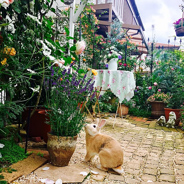 khj1974さんの実例写真