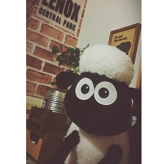 hisachanさんの実例写真