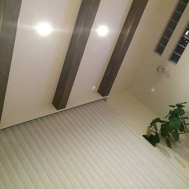 skoさんの実例写真