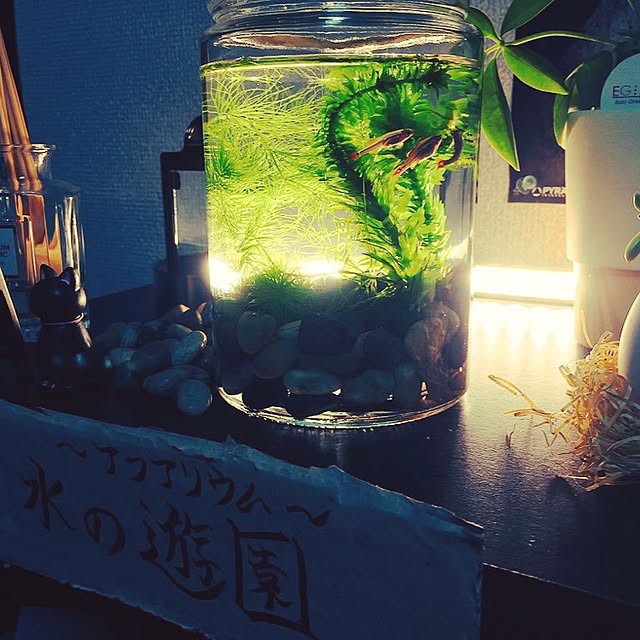 miharunさんの実例写真