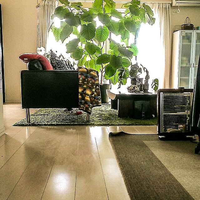 tolikaraさんの実例写真