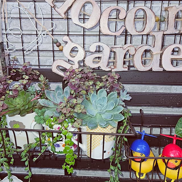 mocomocoさんの部屋