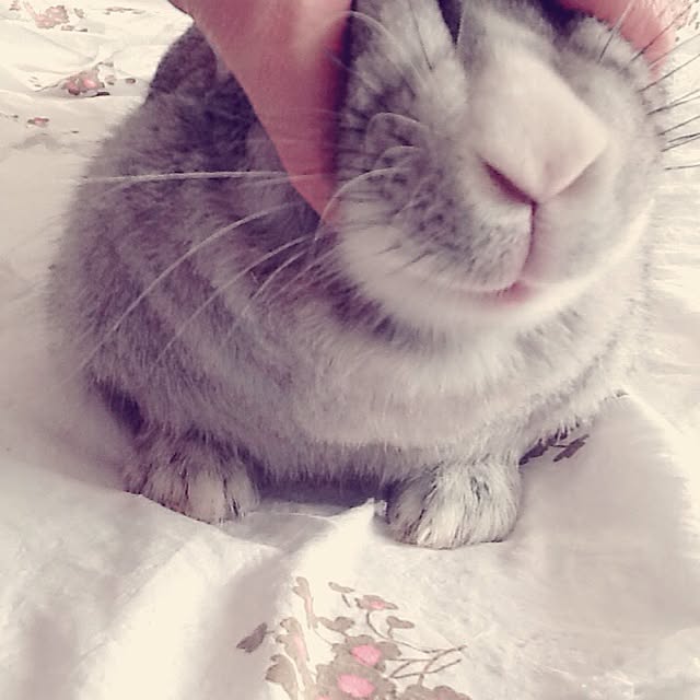 MARIさんの実例写真