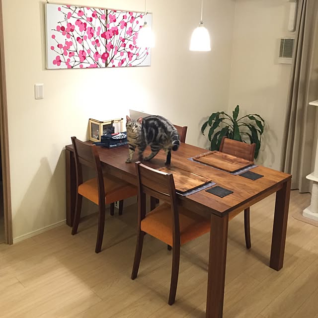 y.k.0123さんの実例写真