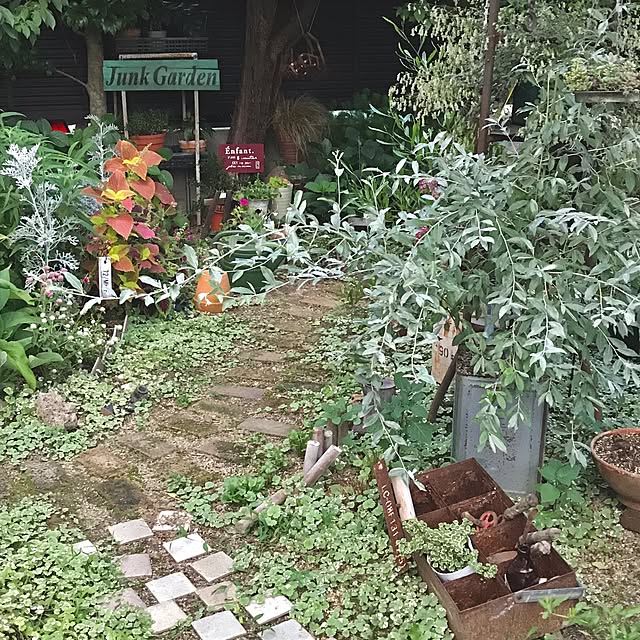 bibianさんの実例写真