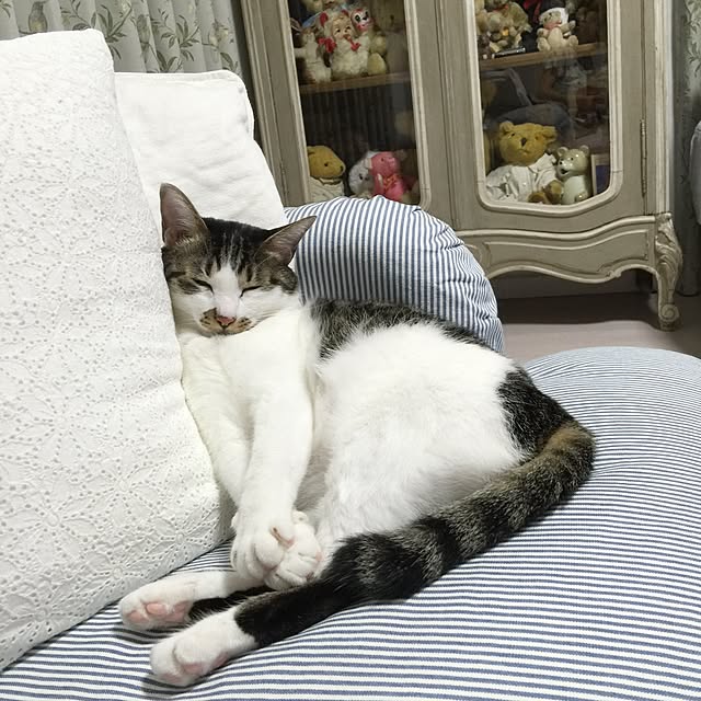 yuchiさんの実例写真