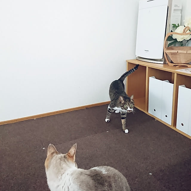nachiさんの実例写真