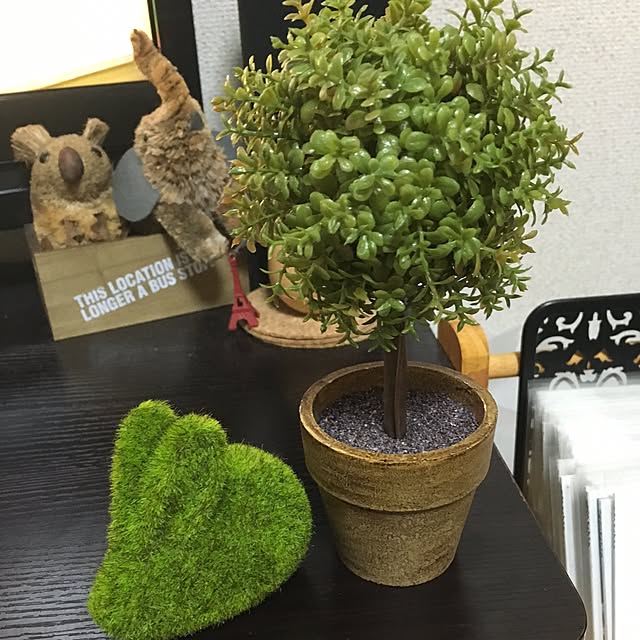 love1231さんの実例写真