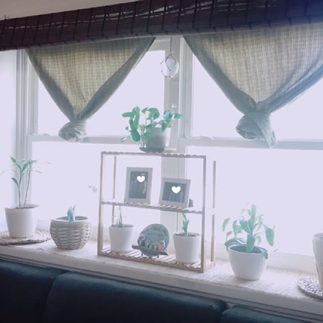 LilMさんの実例写真