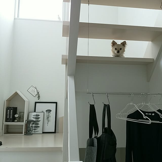 mi-さんの実例写真