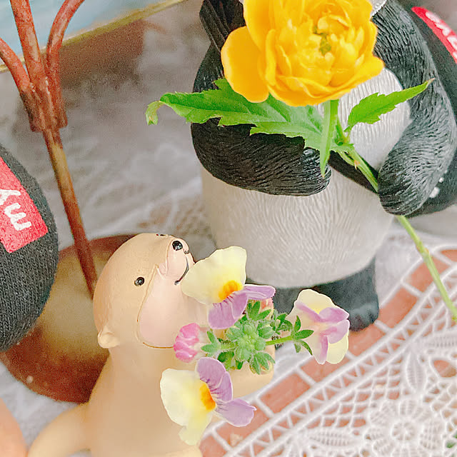 Hanakaさんの部屋