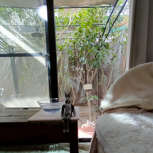 mori_6_12さんの実例写真
