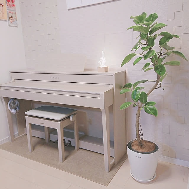 yumegu8さんの実例写真
