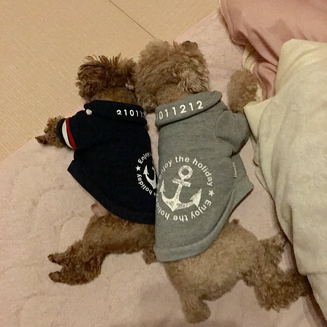 noririnさんの実例写真