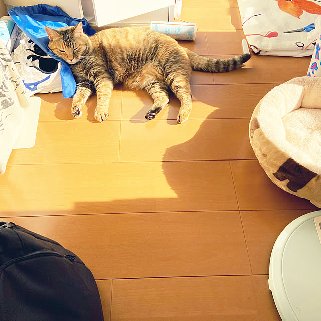 hansho.sさんの実例写真