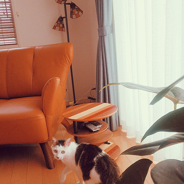 hanaさんの実例写真