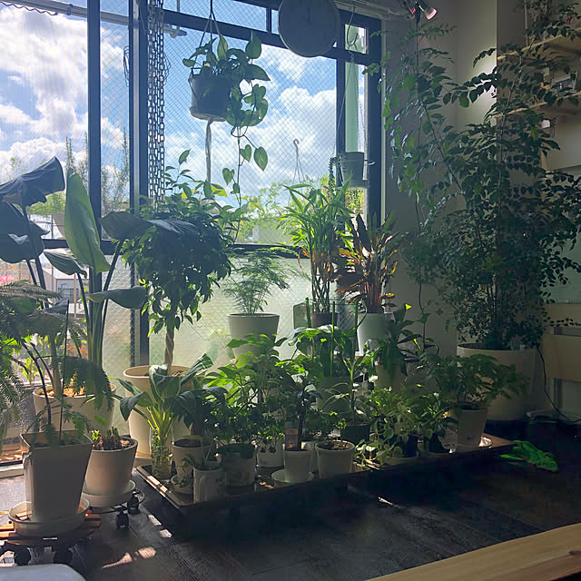 86さんの実例写真