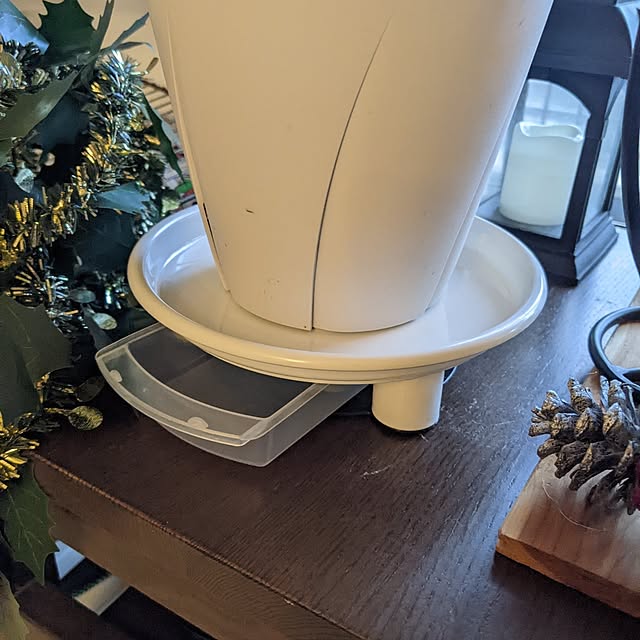 mi-saさんの部屋