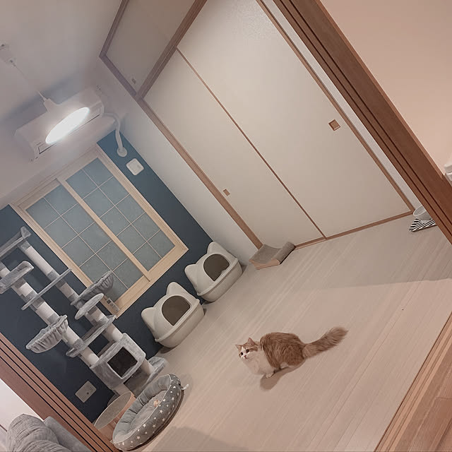 miu__8さんの実例写真
