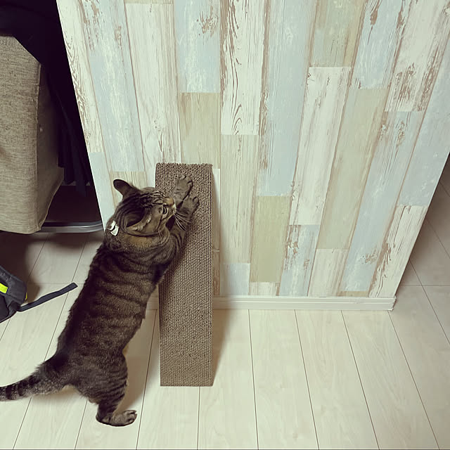 t-famさんの実例写真