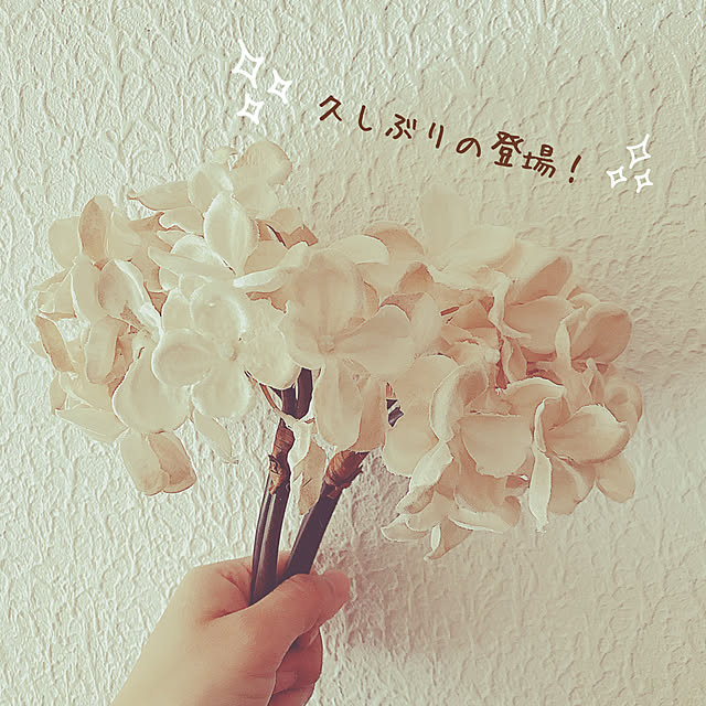 6653さんの実例写真
