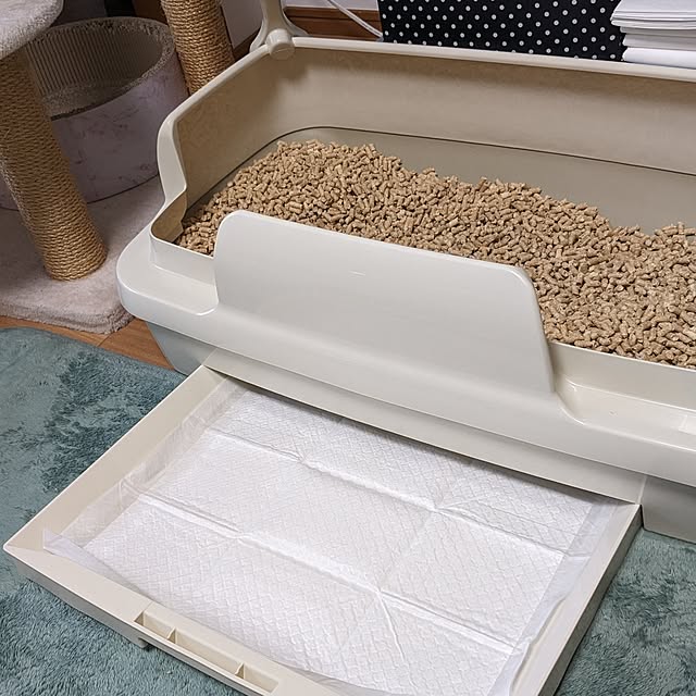 diopucciさんの部屋