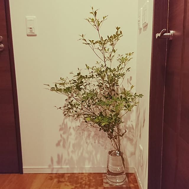 Rさんの実例写真