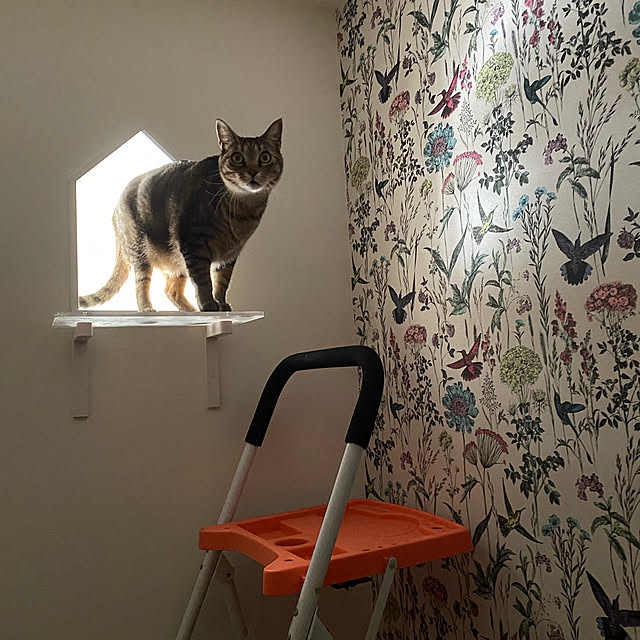mikomaruさんの実例写真
