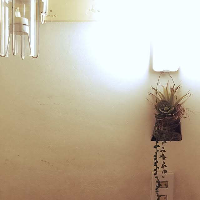 kimu0311youthさんの実例写真