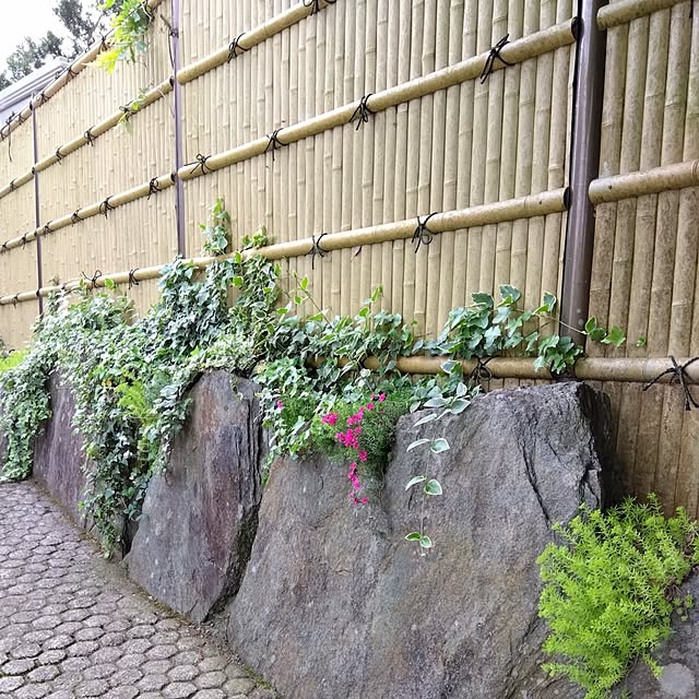 kaoru.hさんの実例写真