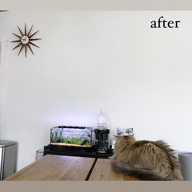 Megumiさんの部屋