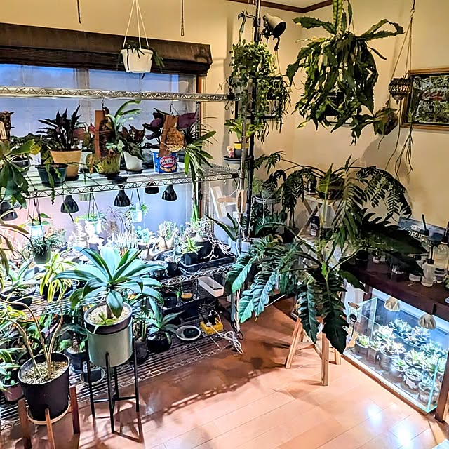 ot-gardenさんの部屋