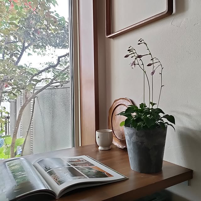 hana-さんの実例写真