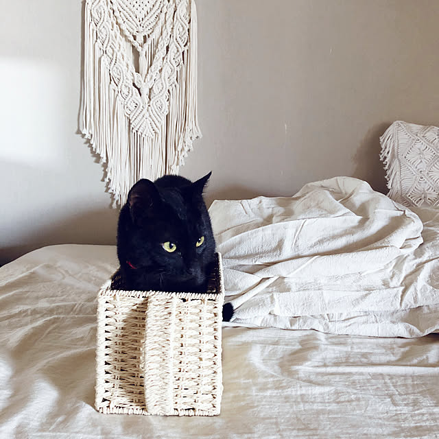 nekomiさんの実例写真