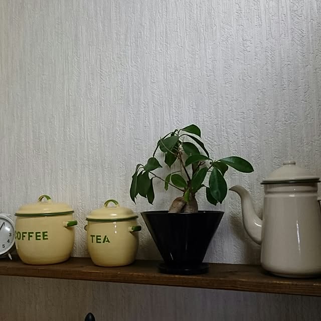 aatannさんの実例写真
