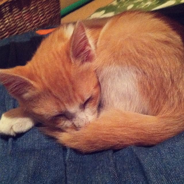 Yamamuraさんの実例写真