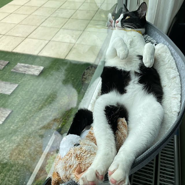 KUROさんの実例写真