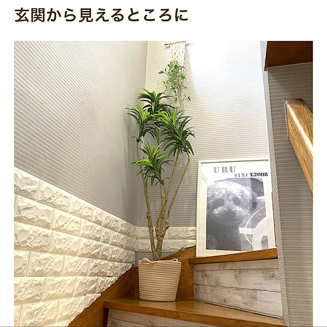 yukarimamaさんの実例写真