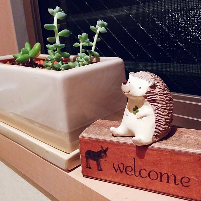 miyuさんの実例写真