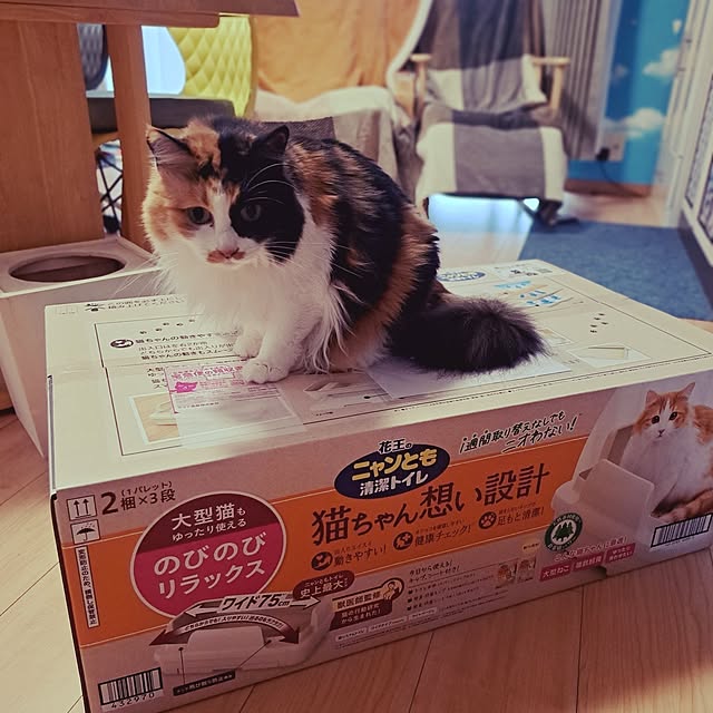 kiyohima229さんの実例写真