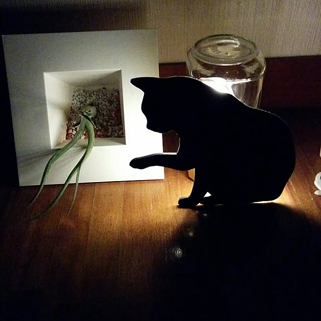 hiroさんの実例写真